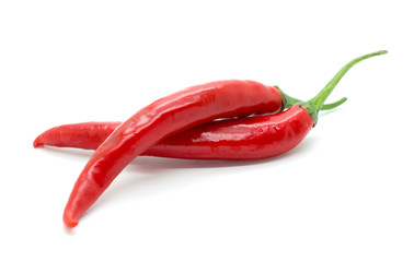 Hot red chili or chilli pepper.