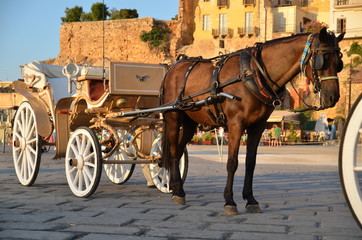 Obraz na płótnie Canvas Horse with carryage