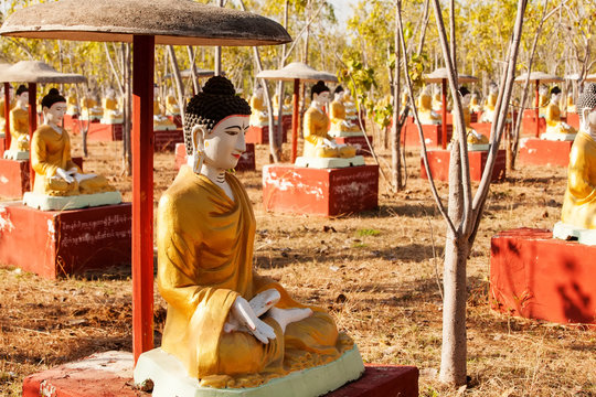 Sitting Buddha statues beneath a Bodhi tree in Monywa, Myanmar.