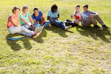 Students studying outside on campus