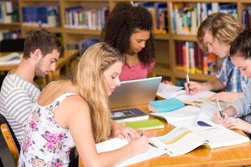 College students doing homework in library