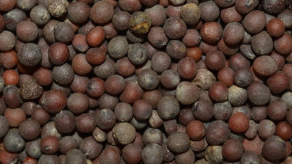 Mustard seeds