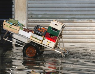 cart for transporting the fruit in Venice during the flood