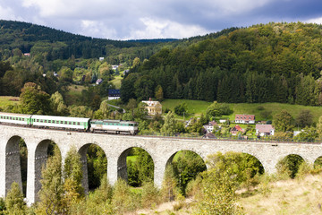 Fototapeta na wymiar passenger train on viaduct Novina, Krystofovo Valley, Czech Repu