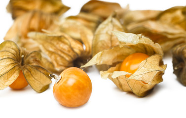 physalis