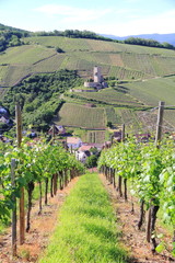 Château fort du Wineck à Katzenthal