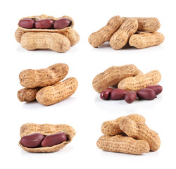 Peanuts on white background
