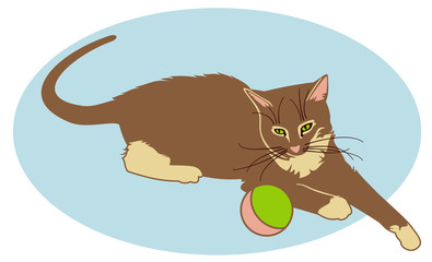 Young cat is playing with ball
