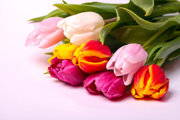 Fototapeta premium colorful bouquet of fresh spring tulip flowers