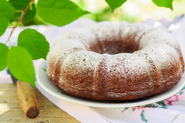 Rustic Style Bundt Cake Sprinkled with Icing Sugar
