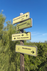 Signals indicating different activities