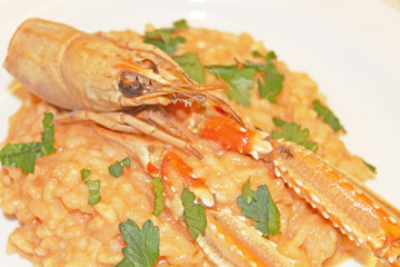 Risotto alla crema di scampi