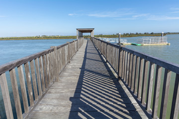 Obraz premium Wooden bridge pier