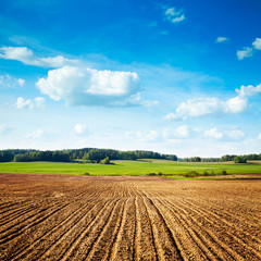 Spring Landscape with Plowed Field and Blue Sky