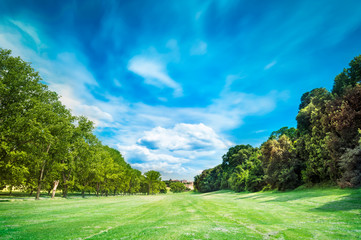 Park in a sunny spring day.