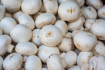 Fresh champignons in the market