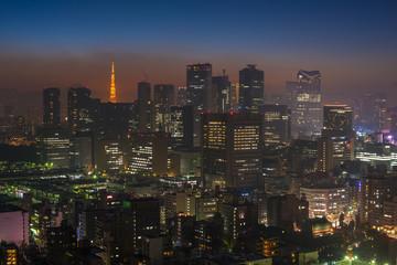 Fototapeta na wymiar Tokyo night scene, panoramic view