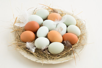 Eggs in a nest