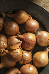 Moody natural lighting vintage retro style image of fresh shallo