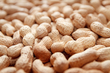 A lot of peanut in the shell. Close-up. background