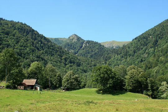 Vall&eacute;e de la Wormsa dans les Vosges