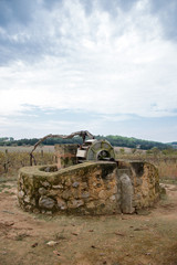 Very old donkey-driven drawing well.