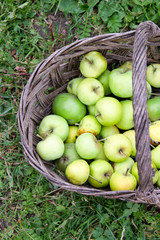 green apples