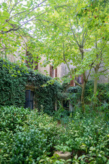 Courtyard with trees and dense foliage.