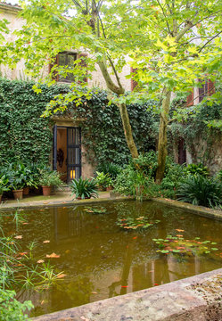 Courtyard with pond and trees with dense foliage.