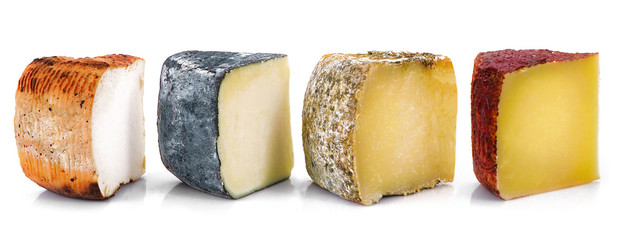 Fototapety  cztery rodzaje sera w plastrach