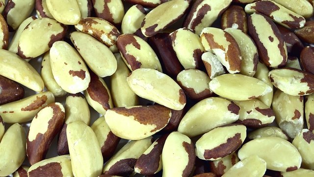 Rotating Brazil Nuts (not loopable)