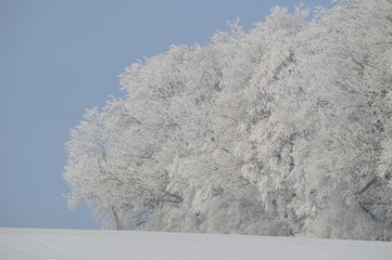 Wald und Eis, Schnee und Winter