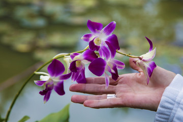 orchid in Laos, flowers
