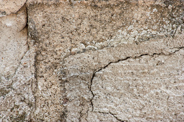 The surface of the concrete blocks.