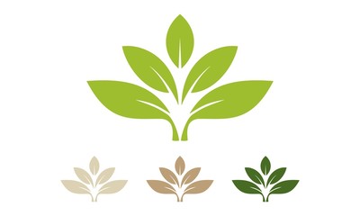 Fototapeta na wymiar Leaf Logo Vector Design Template