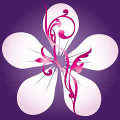 background of the flower