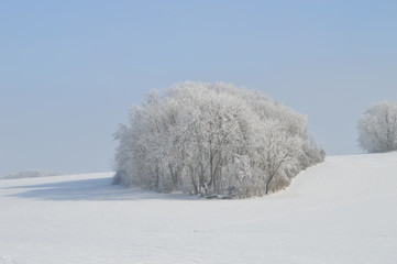 Schnee, B&auml;ume, Insel, Winter
