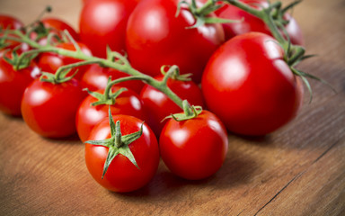 Tomates en rama
