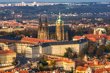 Fototapeta na wymiar Gothic cathedral (st. Vitus, Prague)