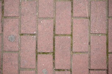 pink pavement floor