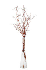 glass vase with willow branches