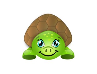 Cute turtle