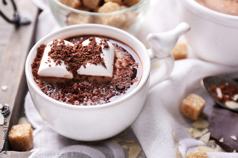 Poster hot chocolate with marshmallows in mug,