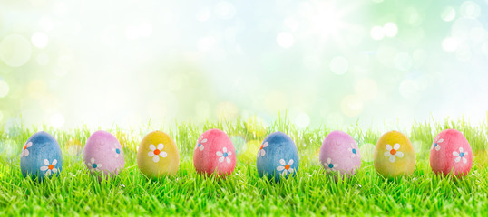 colourful easter eggs