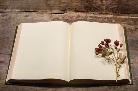 open book and pressed flower