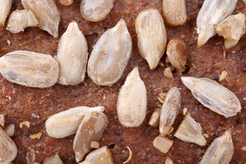 Bread with sunflower seeds texture close up