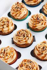 Boxed caramel cupcakes set