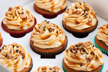 Boxed caramel cupcakes set