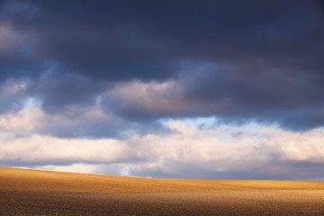 Sunset on the spring field