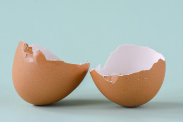Broken and cracked egg shell on background